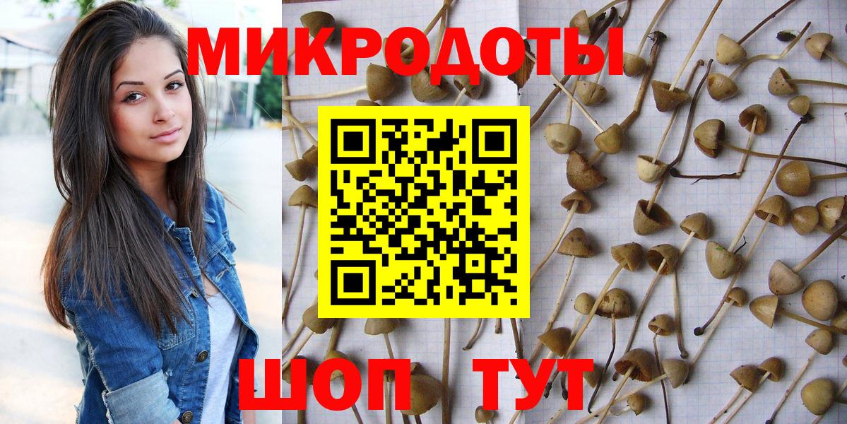 Галлюциногенные грибы мухоморы Королёв